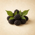 פטל שחור