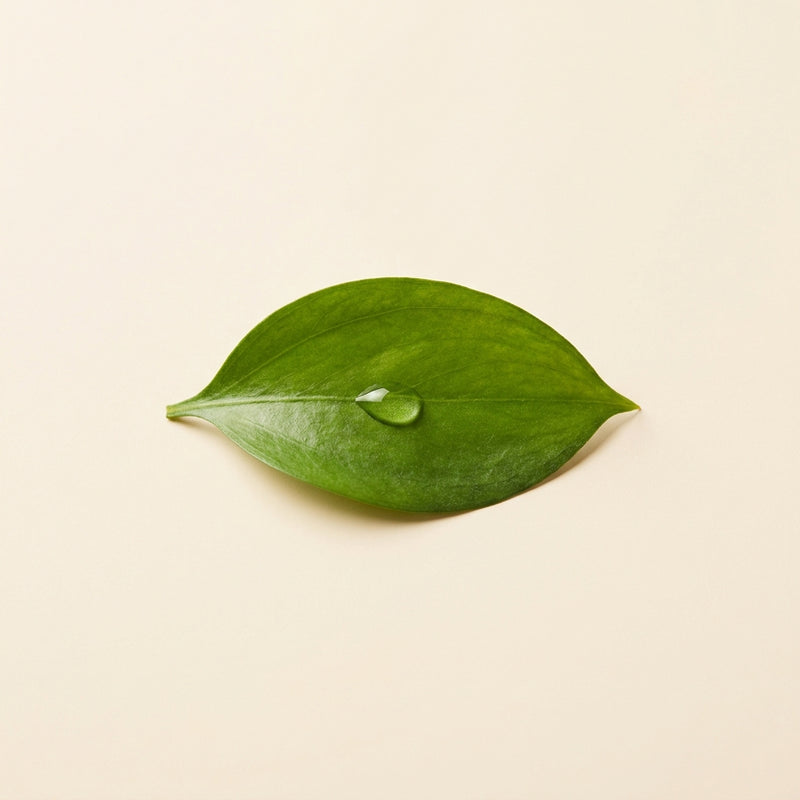 רעננות ירוקה